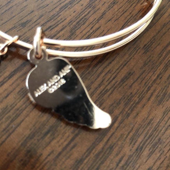 Alex and Ani Guardian Wing Charm Bracelet - Picture 7 of 12